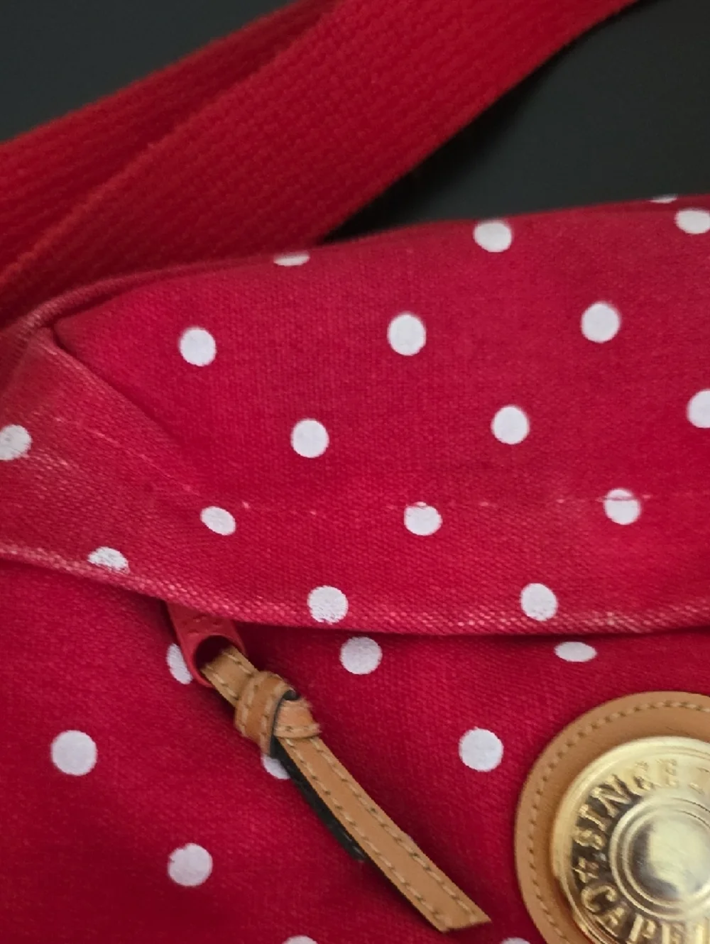 Capezio Polkadot Crossbody Bag